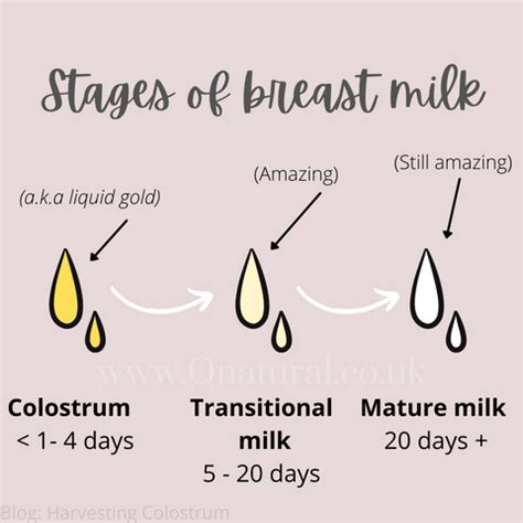 when does colostrum start leaking|Leaking Milk During Pregnancy: When and Why It Happens